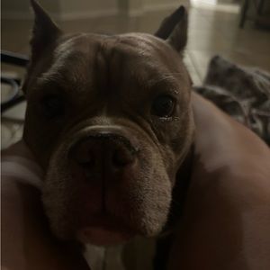 Meet your Posher, Giselle